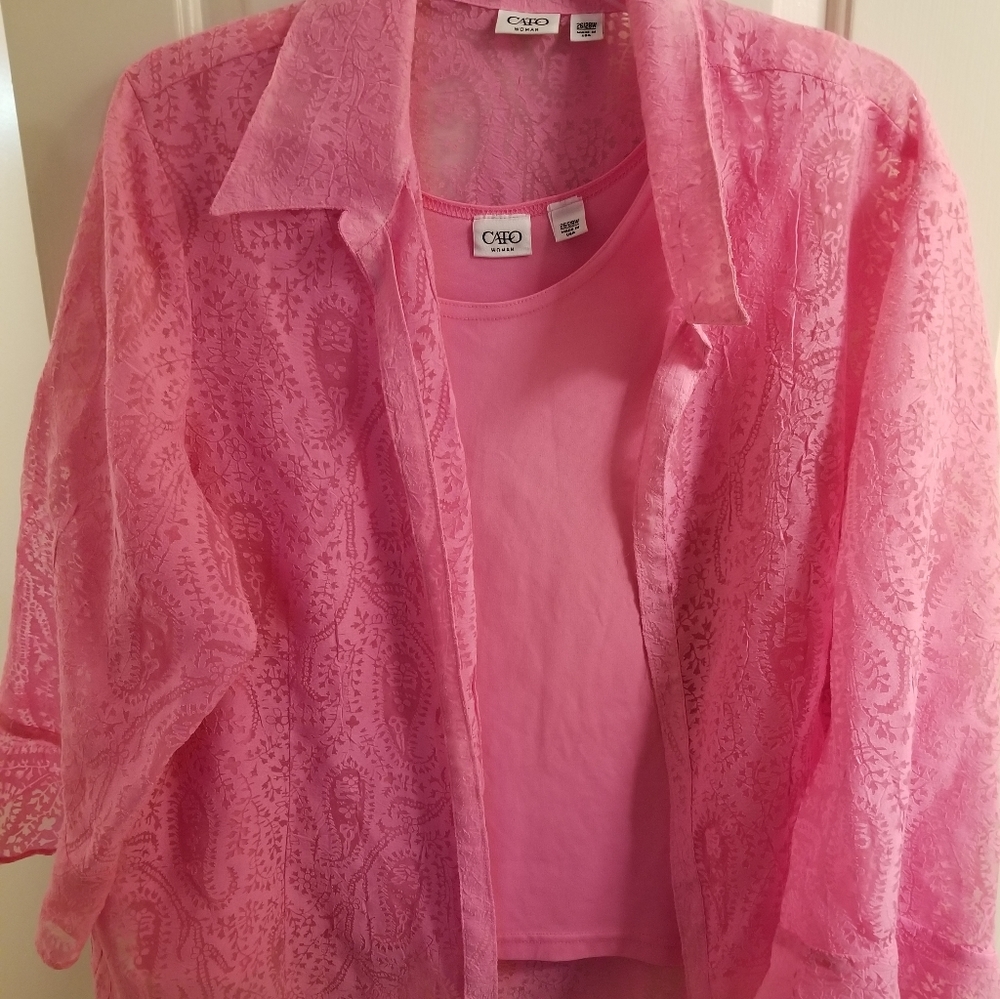 Pink Blouse & Camisole